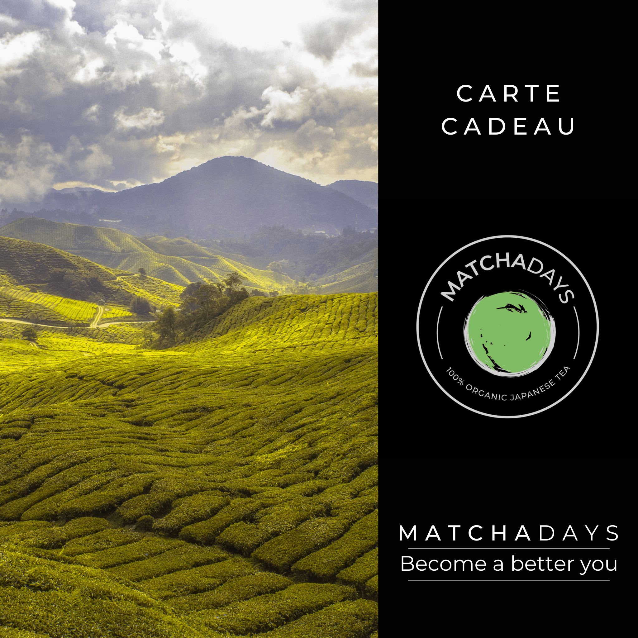 Image de la carte cadeau de MatchaDays. Photo de champs de matcha avec des montagnes dans le fond. Sur la droite de la carte le logo MatchaDays et le slogan "MatchaDays, Becoma a Better you". 